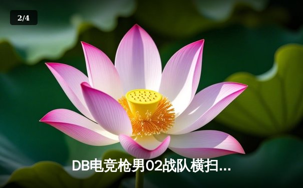 DB电竞枪男02战队横扫对手，以3-0完美战绩夺得《无畏契约》挑战赛冠军 - 2